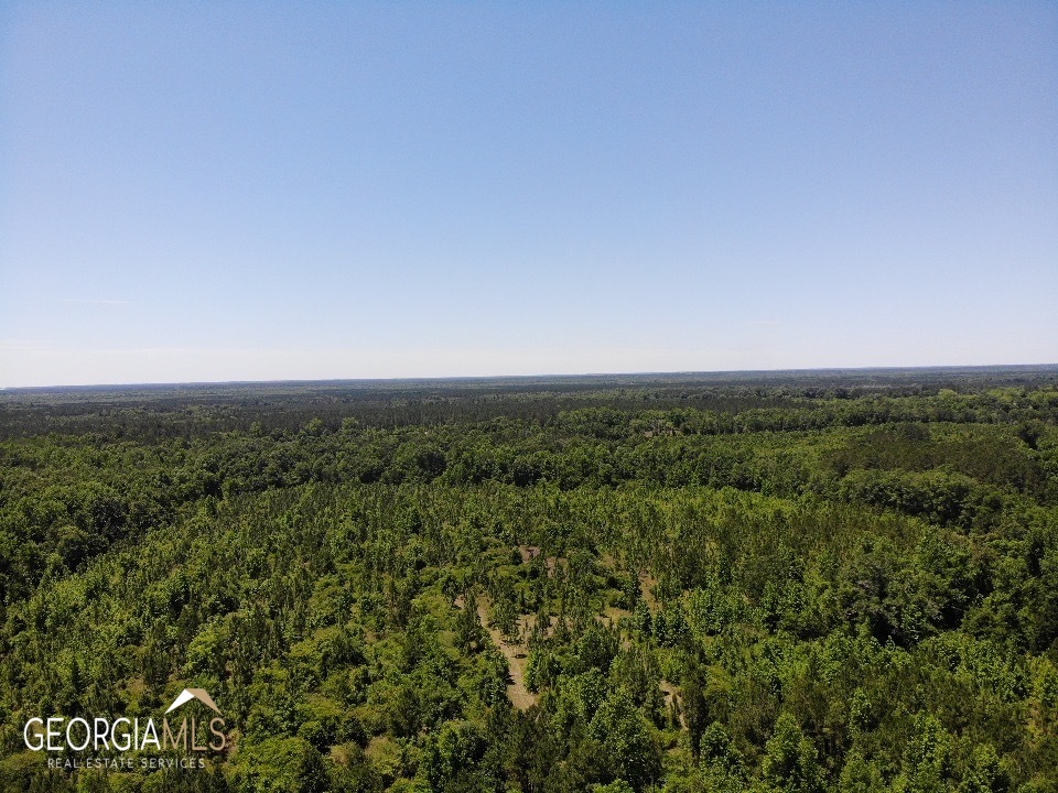 0 Harrell Loop Road Rhine, GA 31077 - Photo 1 of 1 Gallery Image 1