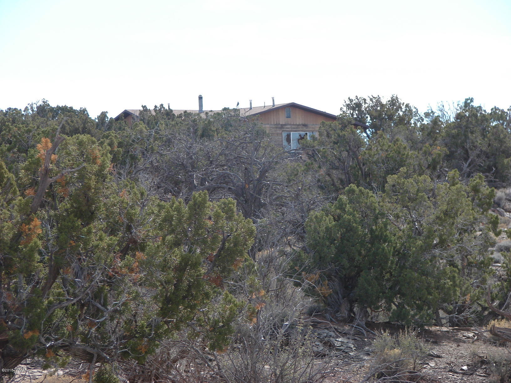 3983 Jordan Snowflake, AZ 85937 - Photo 4 of 16