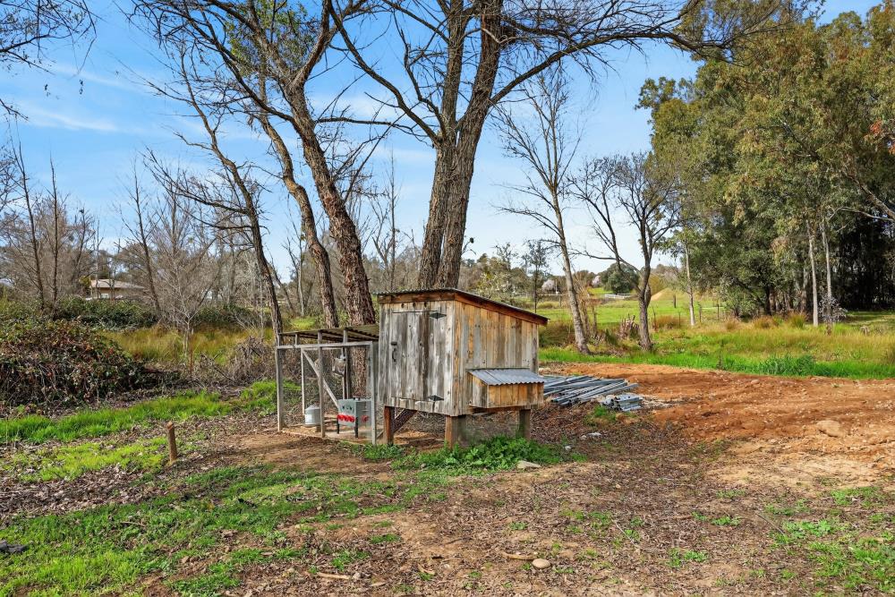 4339 Fruitvale Road Newcastle, CA 95658 - Photo 36 of 47