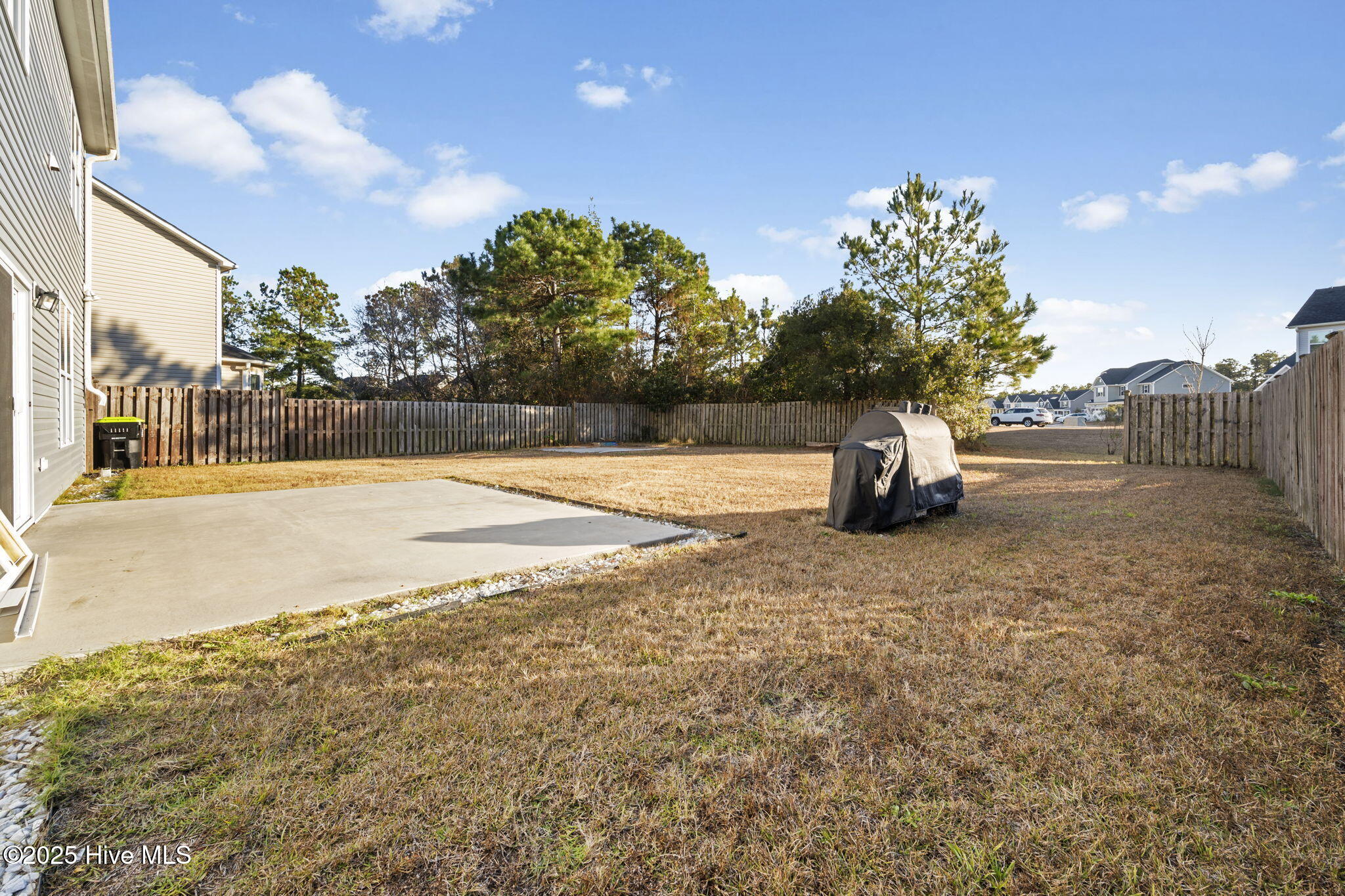 7072 Trailhead Road Leland, NC 28451 - Photo 27 of 35 29-web-or-mls-back patio
