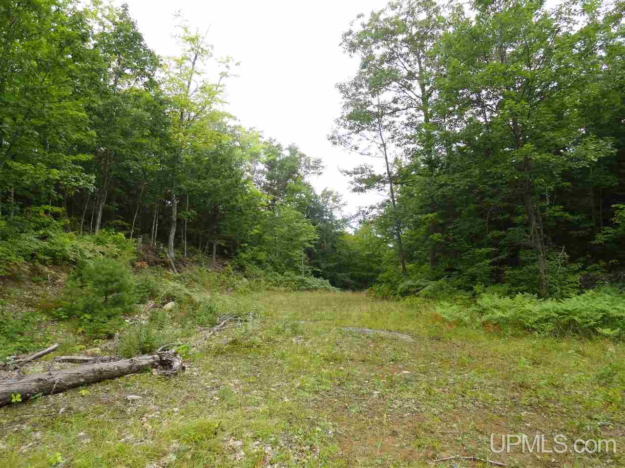 510 Rd Marquette Mi 49855 Road Negaunee, MI 49866 - Photo 2 of 26