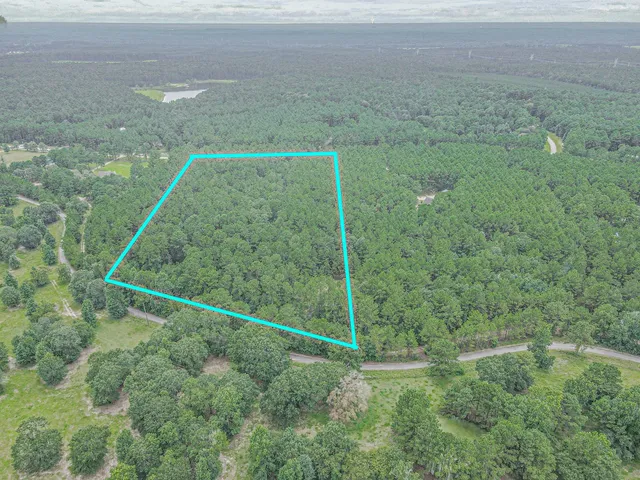 $400,000 | 9947 Amelia Drive, Anderson, TX 77830