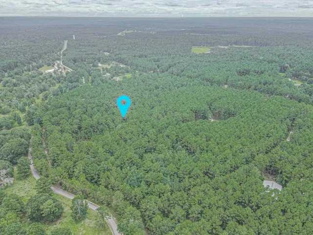 $400,000 | 9947 Amelia Drive, Anderson, TX 77830