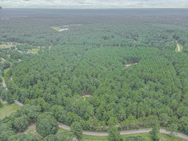 $400,000 | 9947 Amelia Drive, Anderson, TX 77830