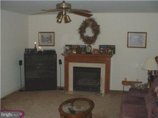 405 Merion Drive Sinking Spring, PA 19608 - Photo 3 of 5 a living room with furniture and a fireplace