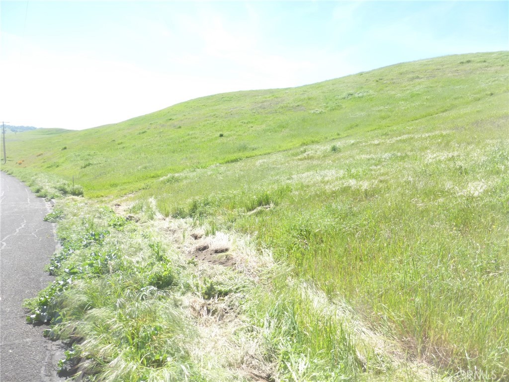 0 Douglas Road San Miguel, CA 93451 - Photo 20 of 42