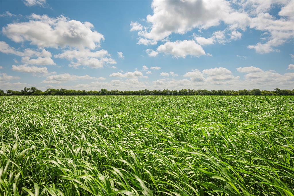 12097 Kyle Lane Blue Ridge, TX 75424 - Photo 11 of 13