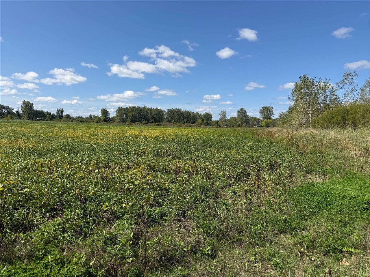 V/l Cade Road Capac, MI 48014 - Photo 37 of 43 Gallery Image 37