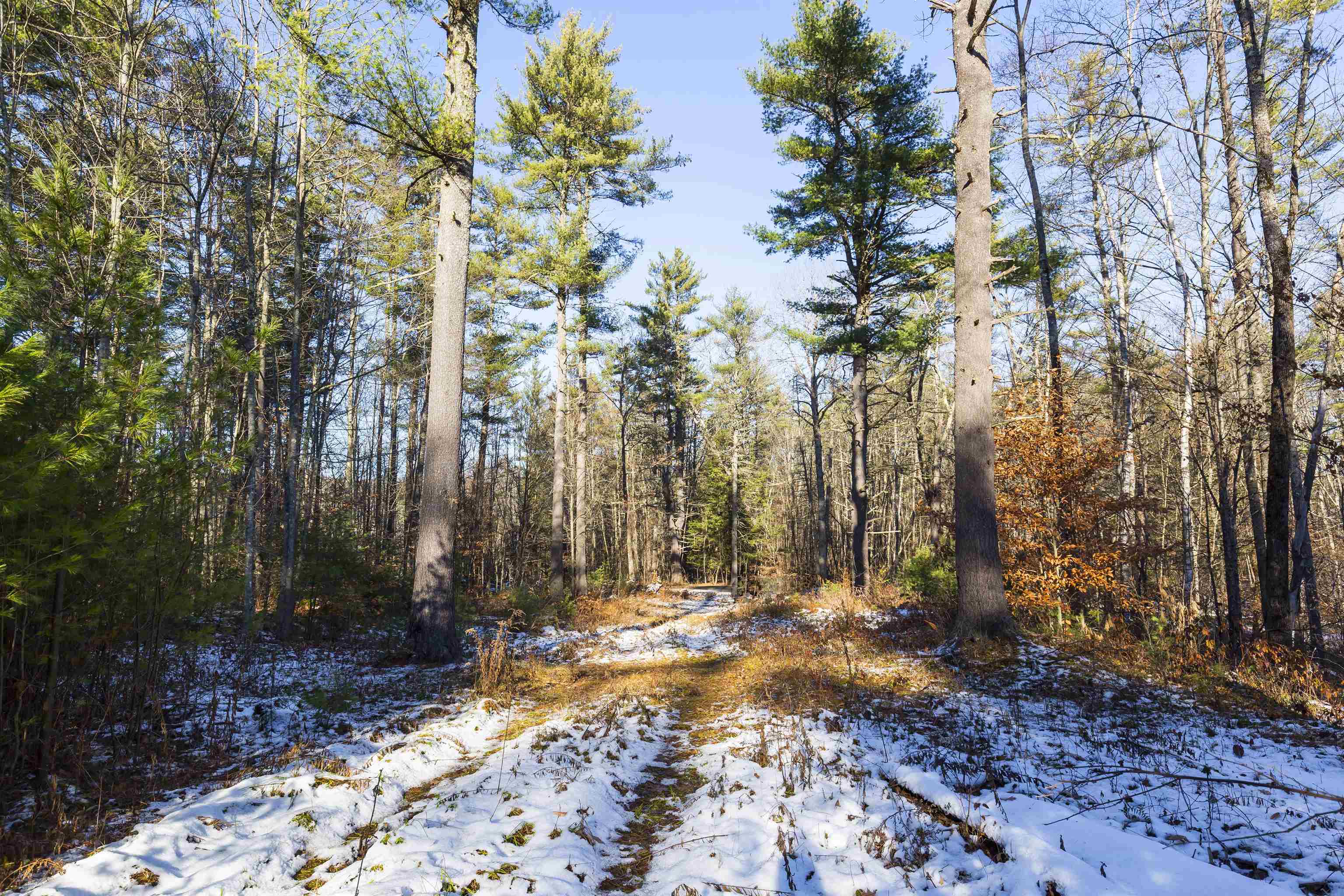 755 Burnham Road Thetford, VT 05043 - Photo 2 of 12