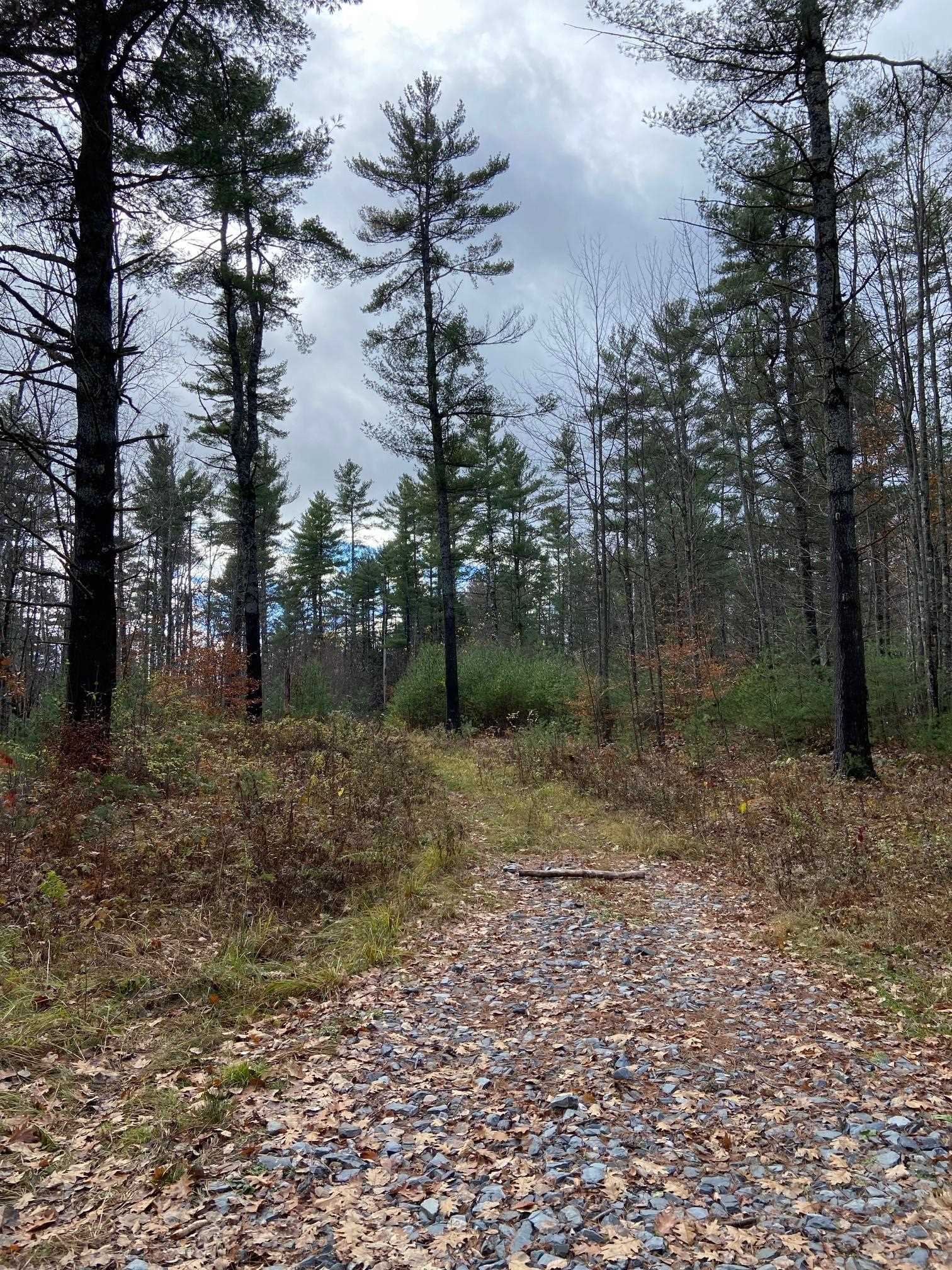 755 Burnham Road Thetford, VT 05043 - Photo 11 of 12