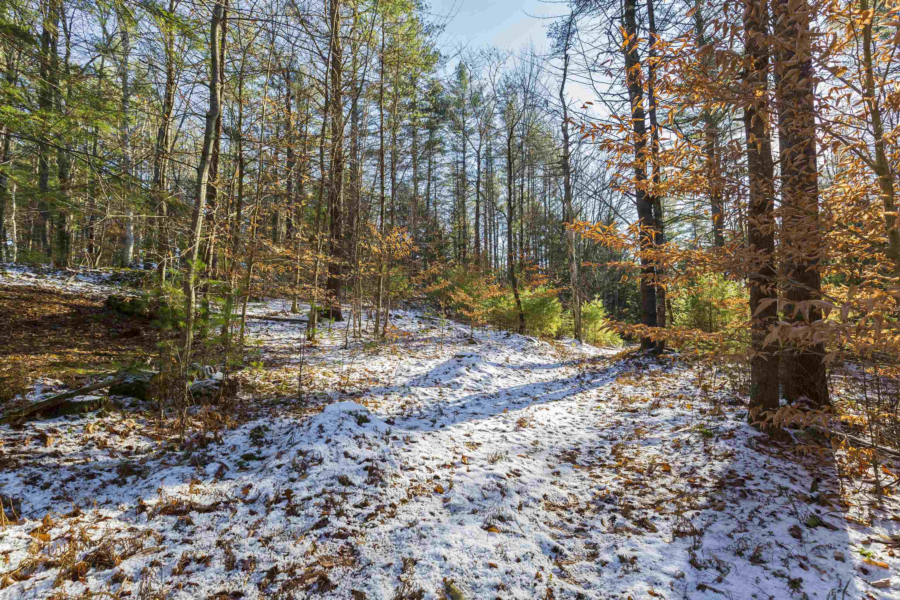 755 Burnham Road Thetford, VT 05043 - Photo 8 of 12