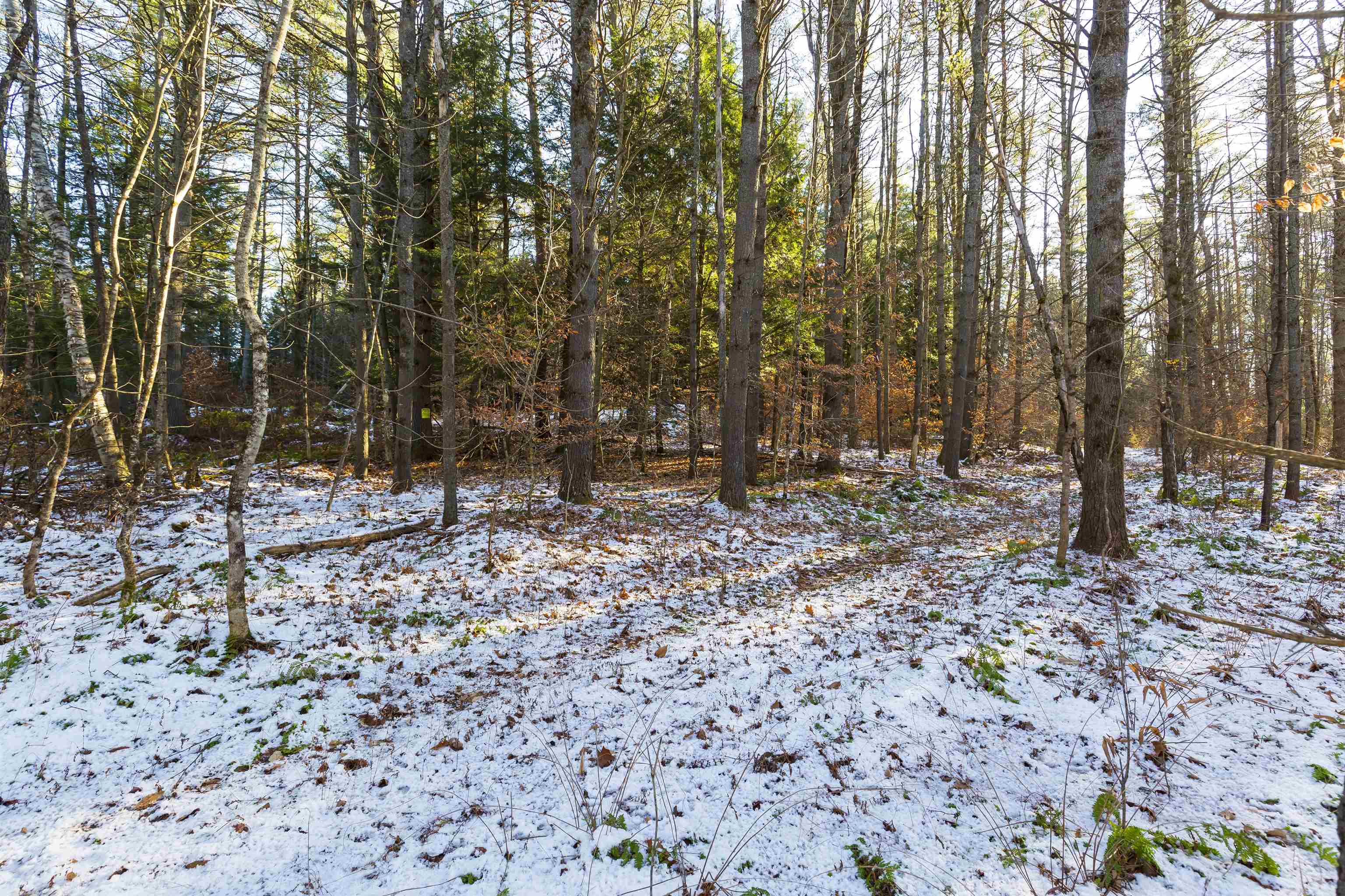 755 Burnham Road Thetford, VT 05043 - Photo 9 of 12