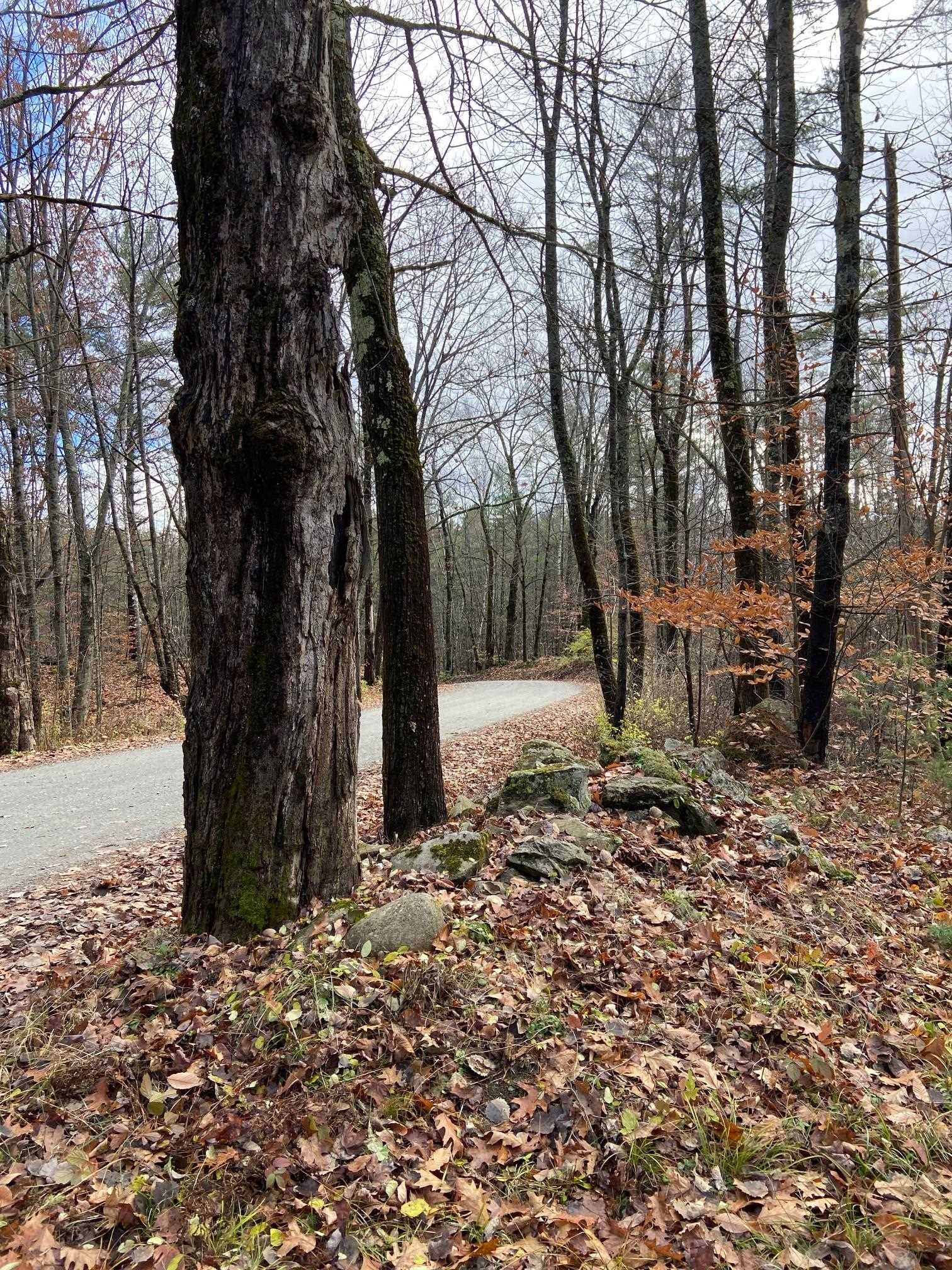 755 Burnham Road Thetford, VT 05043 - Photo 10 of 12