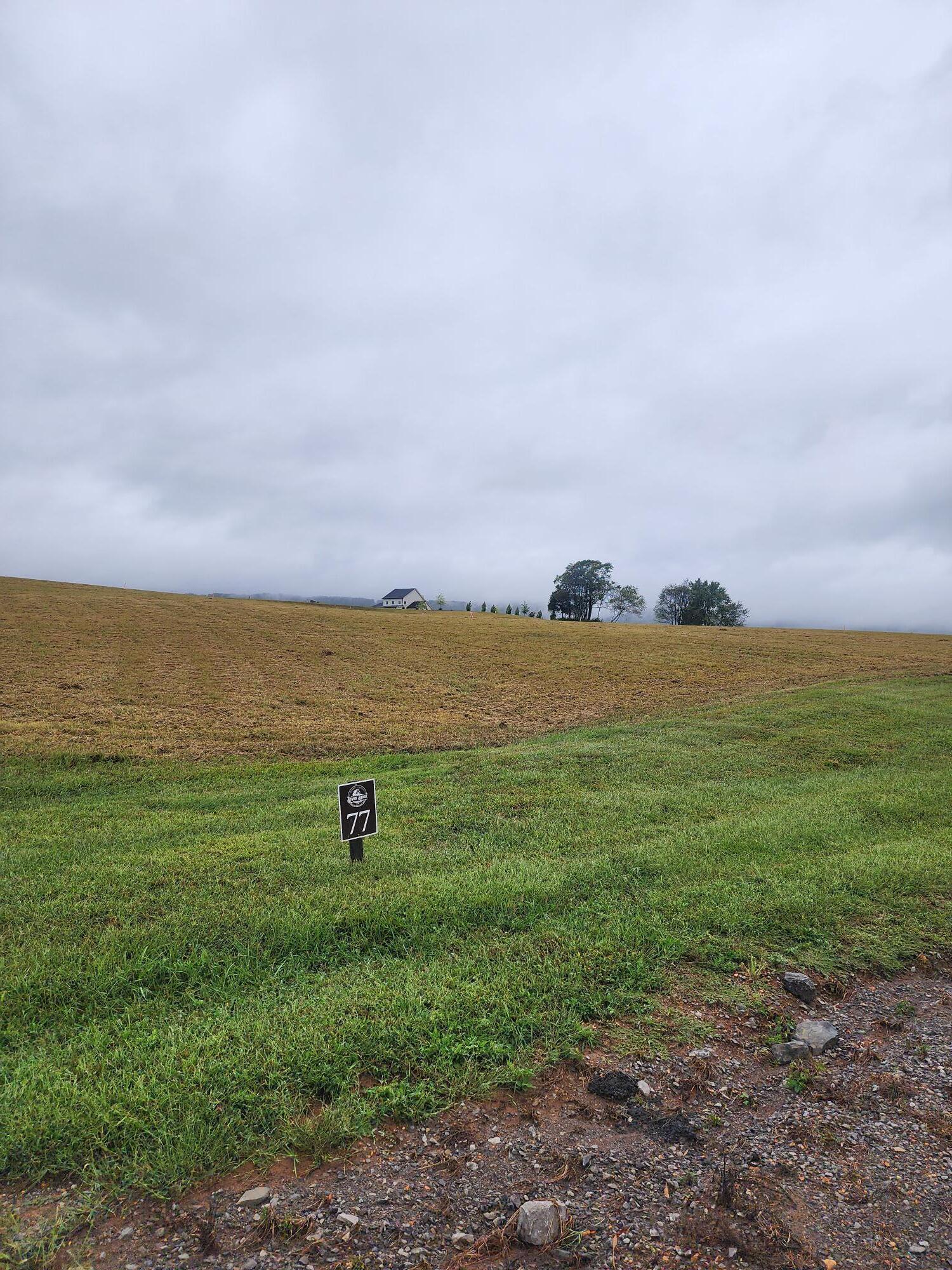 77 River Ridge Drive Dunlap, TN 37327 - Photo 3 of 12 Lot 77 (3)