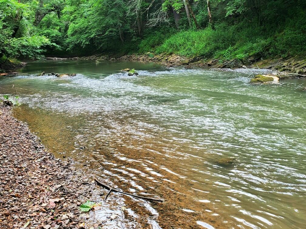 77 River Ridge Drive Dunlap, TN 37327 - Photo 4 of 12 1 River