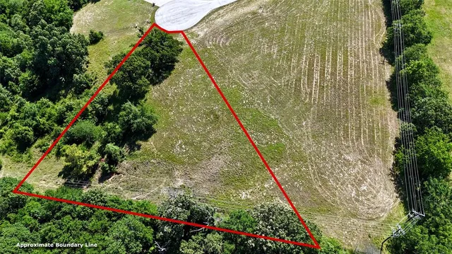 a view of statue in the garden