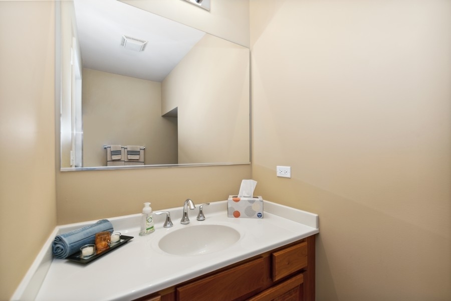 339 Front Street, Unit 2207 Lemont, IL 60439 - Photo 20 of 27 a bathroom with a sink and a mirror