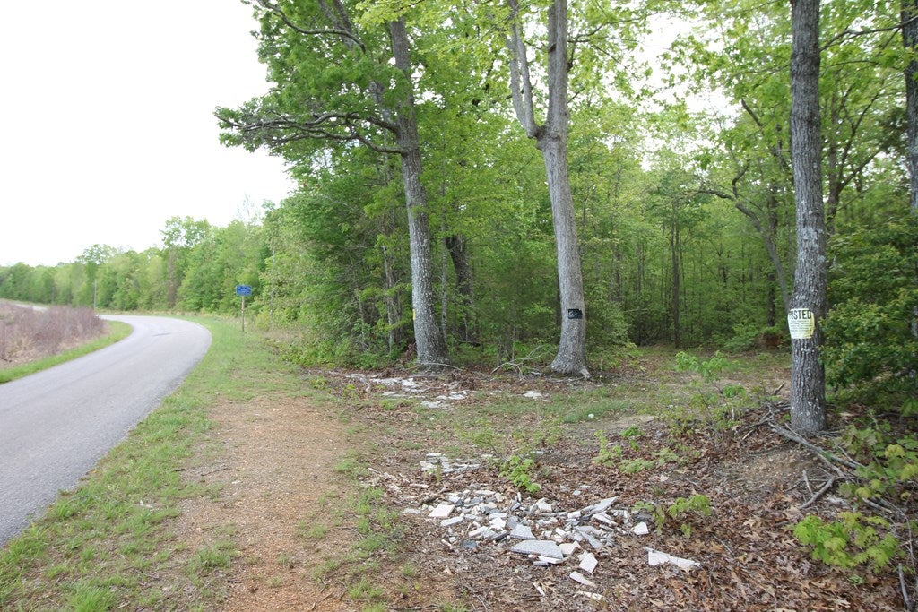 Plank Road, Unit 20C Kenbridge, VA 23944 - Photo 13 of 19 Gallery Image 13