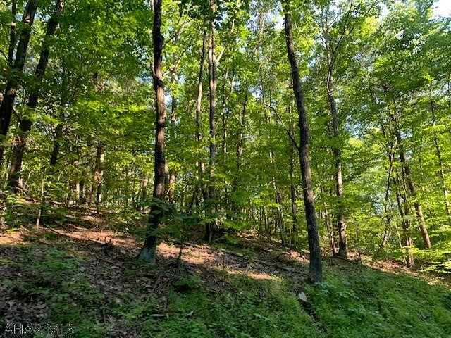 1009 A Six Mile Run Road Six Mile Run, PA 16679 - Photo 13 of 47 Gallery Image 13