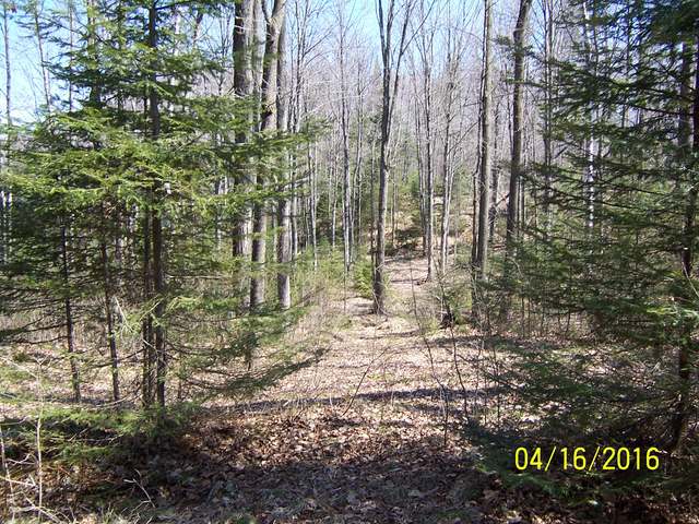 3205 Donut Lake Road Crandon, WI 54520 - Photo 9 of 19 Gallery Image 9