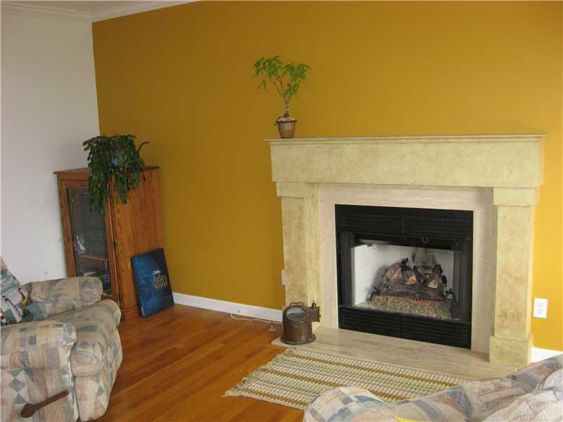 155 Shadow Ridge Drive Pittsburgh, PA 15238 - Photo 12 of 24 Family Room. FIREPLACE IN FAMILY ROOM