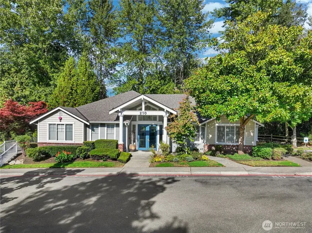 a view of a street with a trees