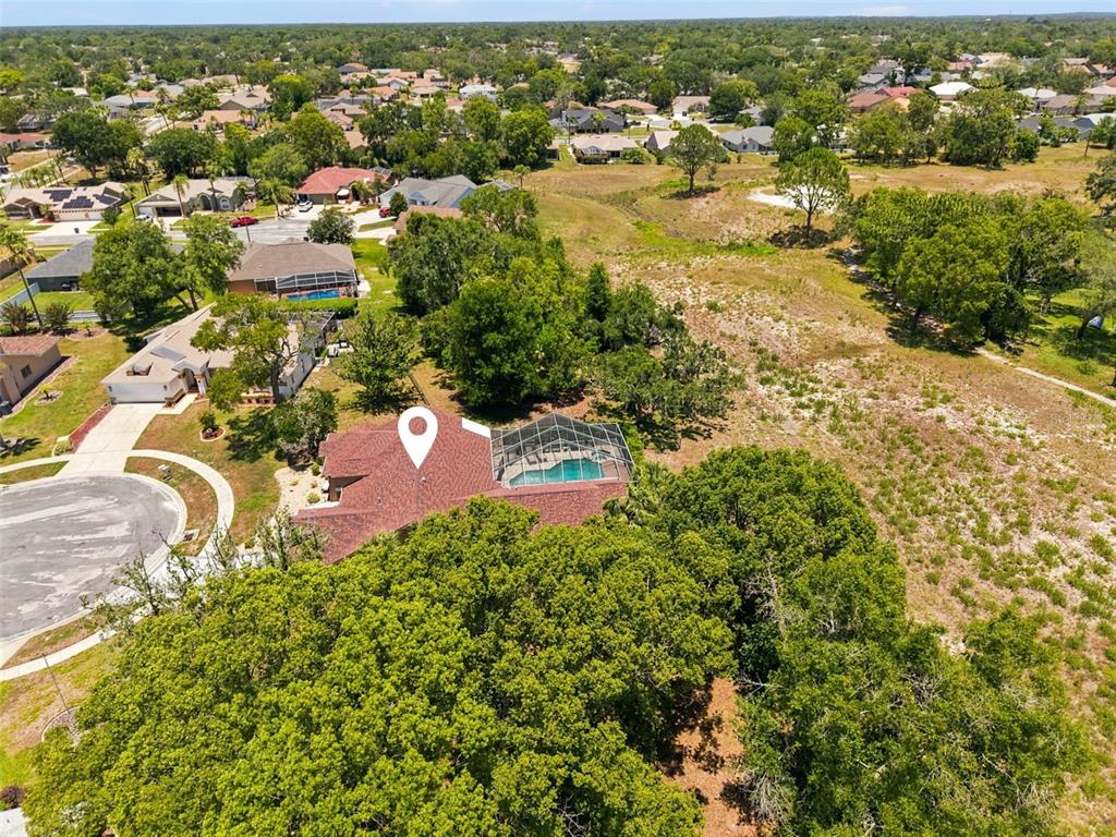10296 Windsor Court Spring Hill, FL 34608 - Photo 69 of 69
