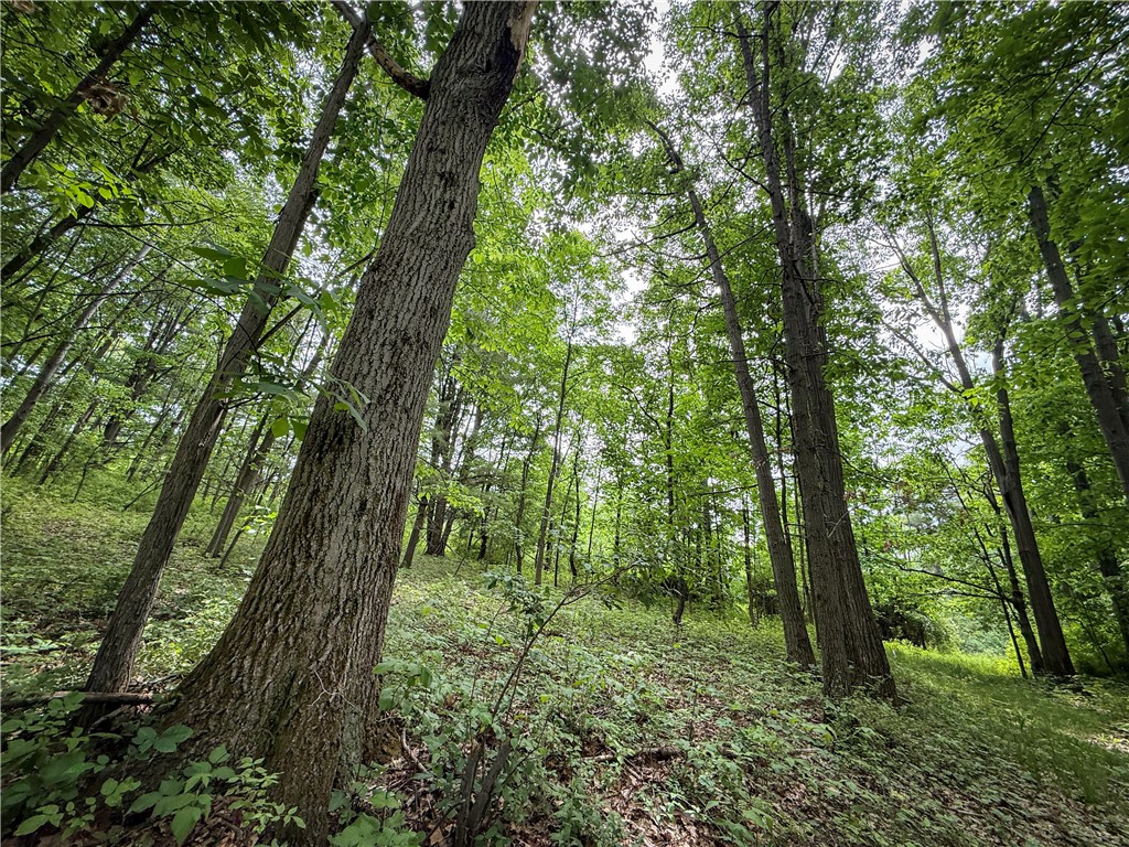 5401 Old Bath Road Barrington, NY 14837 - Photo 39 of 50
