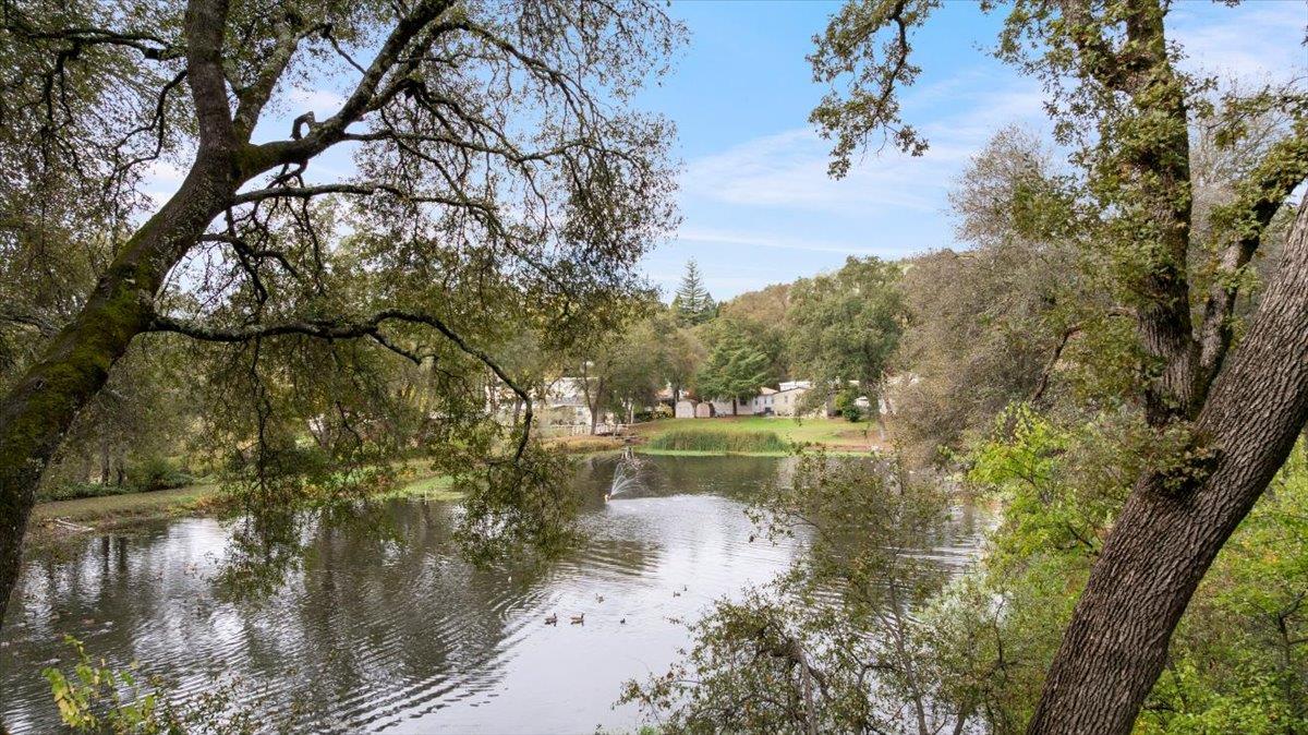 1525 Cold Springs Road, Unit 82 Placerville, CA 95667 - Photo 15 of 20 a view of lake