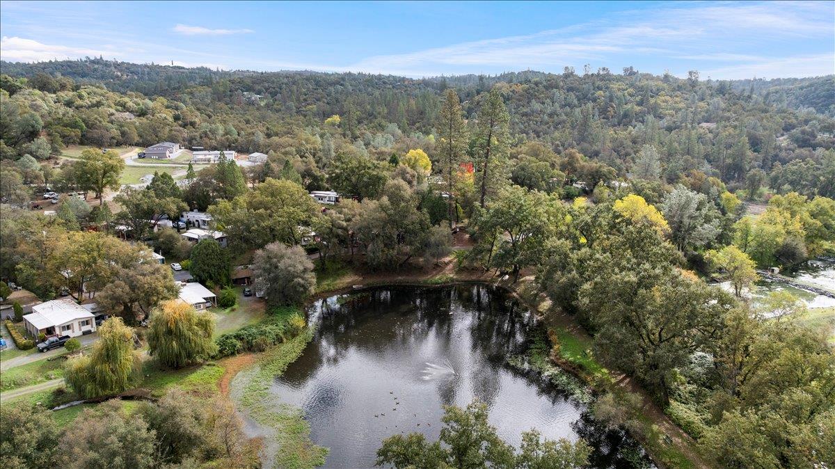 1525 Cold Springs Road, Unit 82 Placerville, CA 95667 - Photo 17 of 20 an aerial view of residential house with outdoor space and trees around