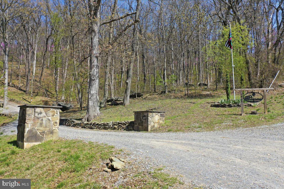 19897 Foresthill Road Bluemont, VA 20135 - Photo 34 of 39 a view of a yard with large trees