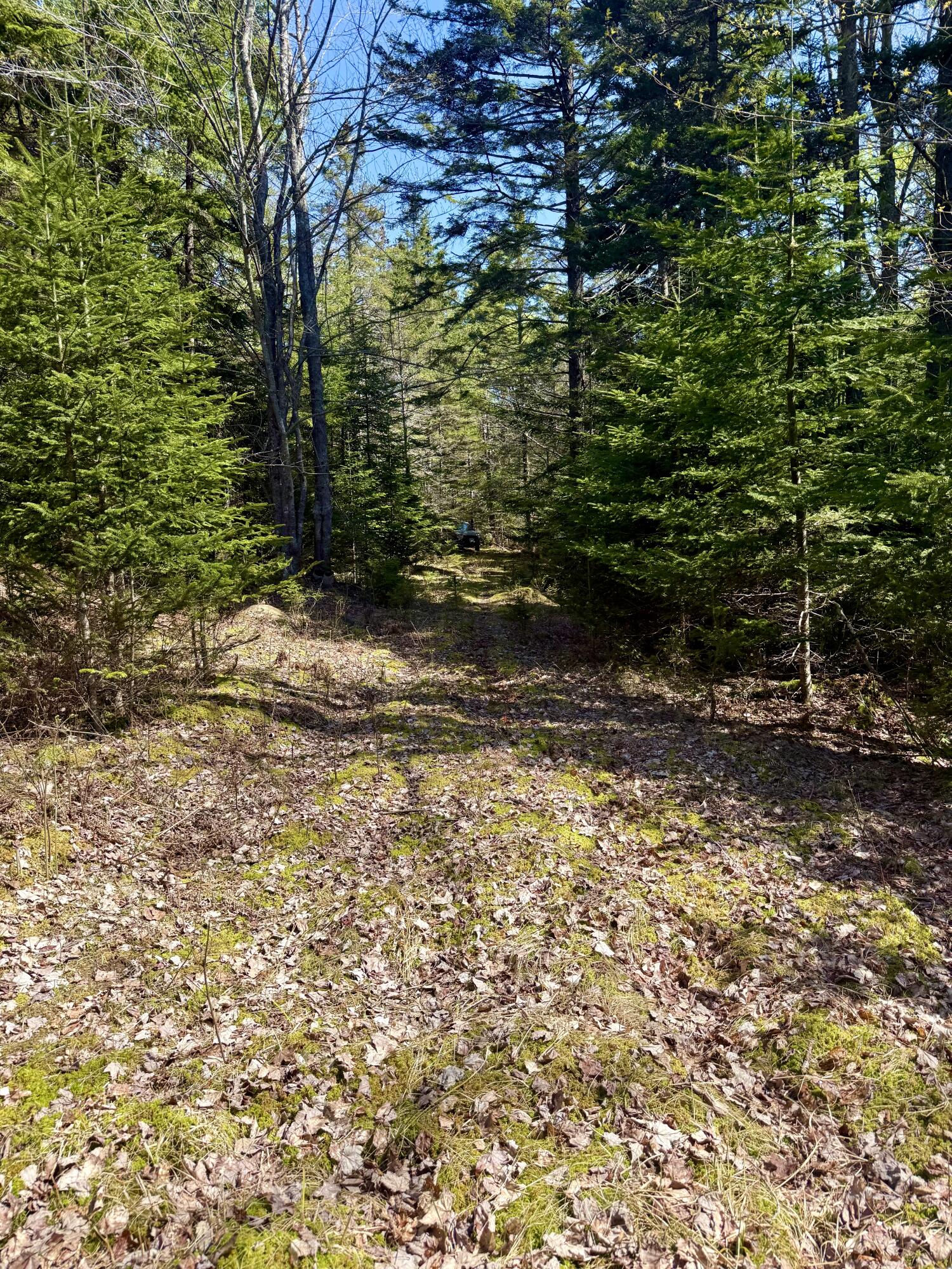 7 Young Road Vinalhaven, ME 04863 - Photo 19 of 20 IMG_7408