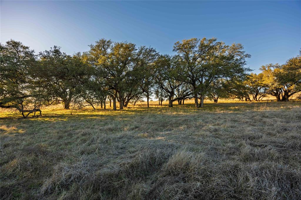 Tbd Comanche Lake Road Comanche, TX 76442 - Photo 10 of 12 a view of yard with trees