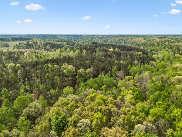 $481,120 | 1 Pleasant Ridge Road, Goodspring, TN 38460