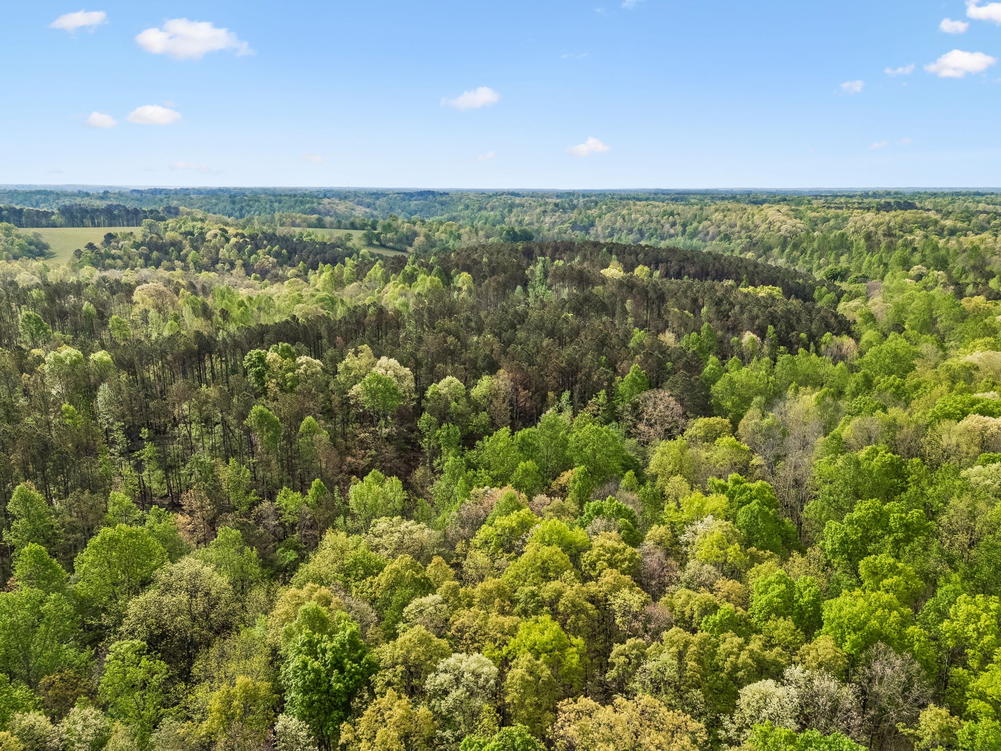 1 Pleasant Ridge Road Goodspring, TN 38460 - Photo 11 of 48