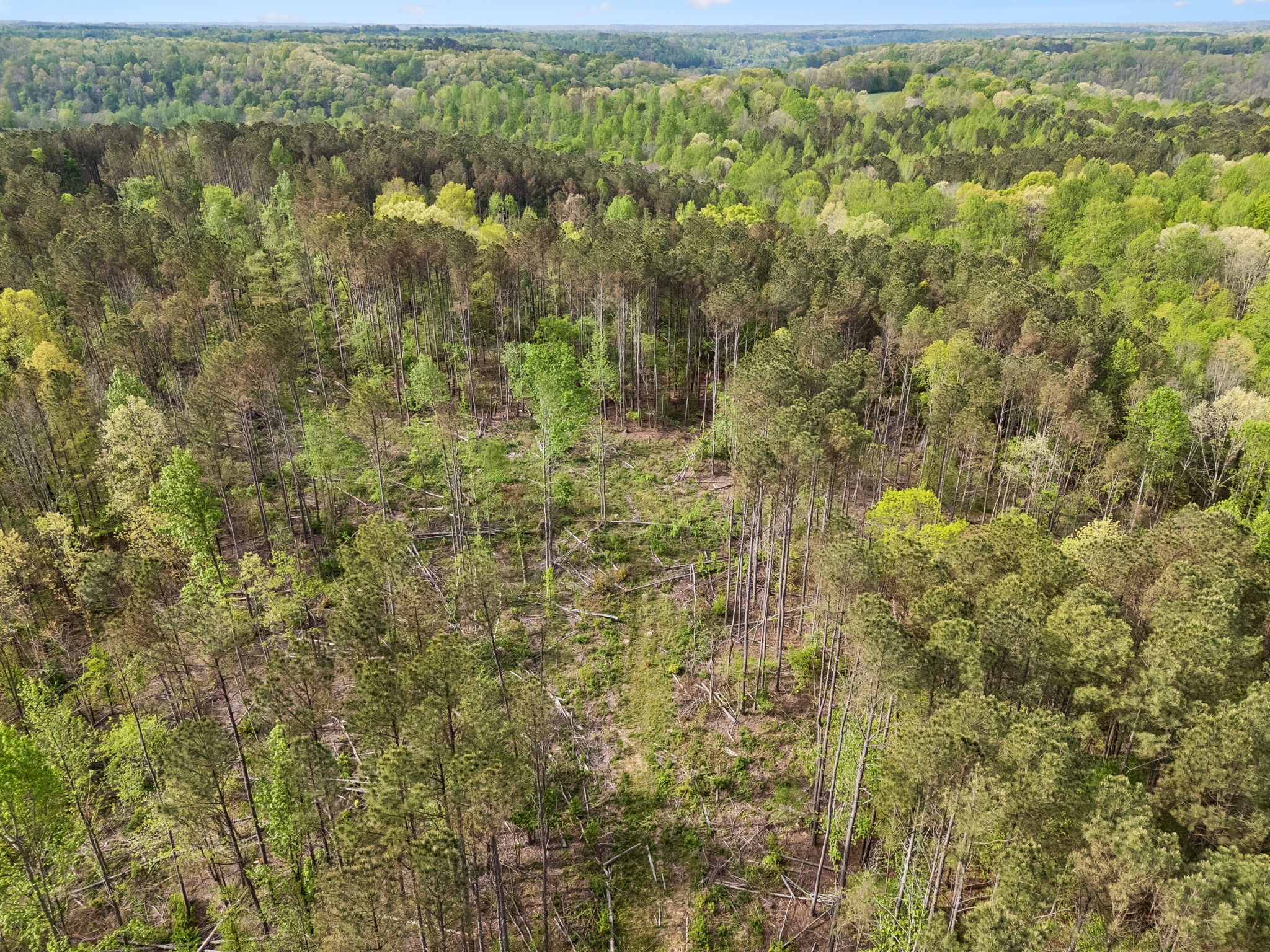 1 Pleasant Ridge Road Goodspring, TN 38460 - Photo 12 of 48