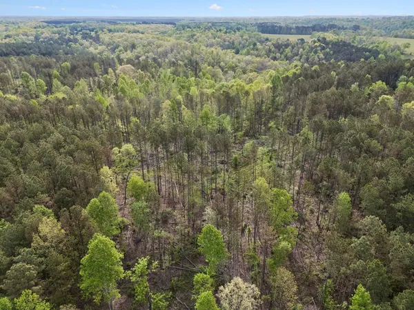 $481,120 | 1 Pleasant Ridge Road, Goodspring, TN 38460