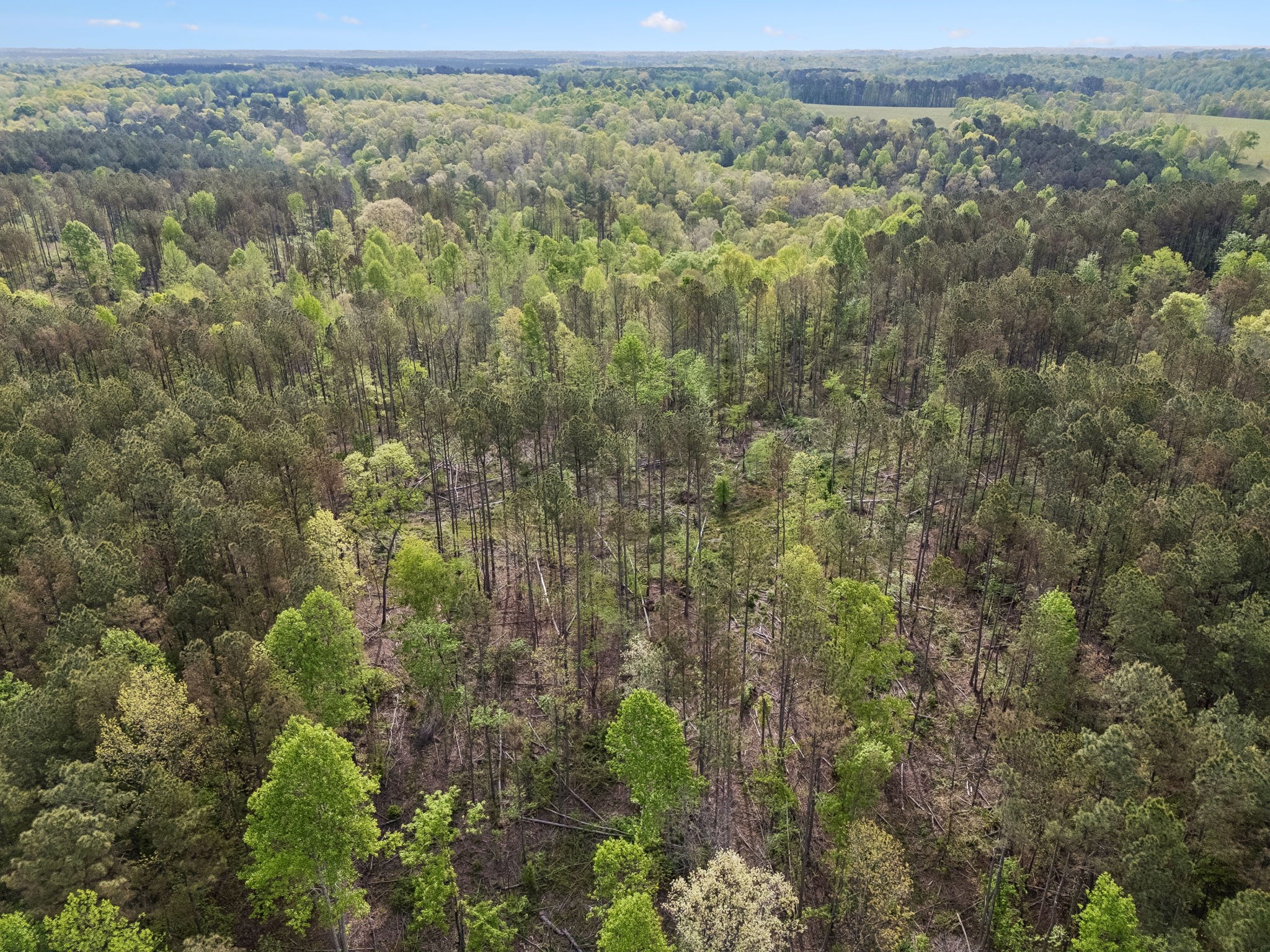 1 Pleasant Ridge Road Goodspring, TN 38460 - Photo 13 of 48
