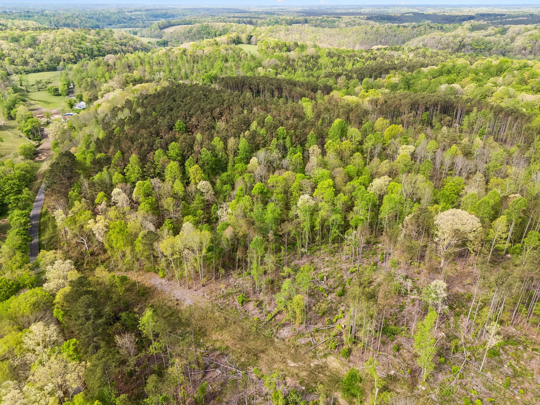 1 Pleasant Ridge Road Goodspring, TN 38460 - Photo 14 of 48