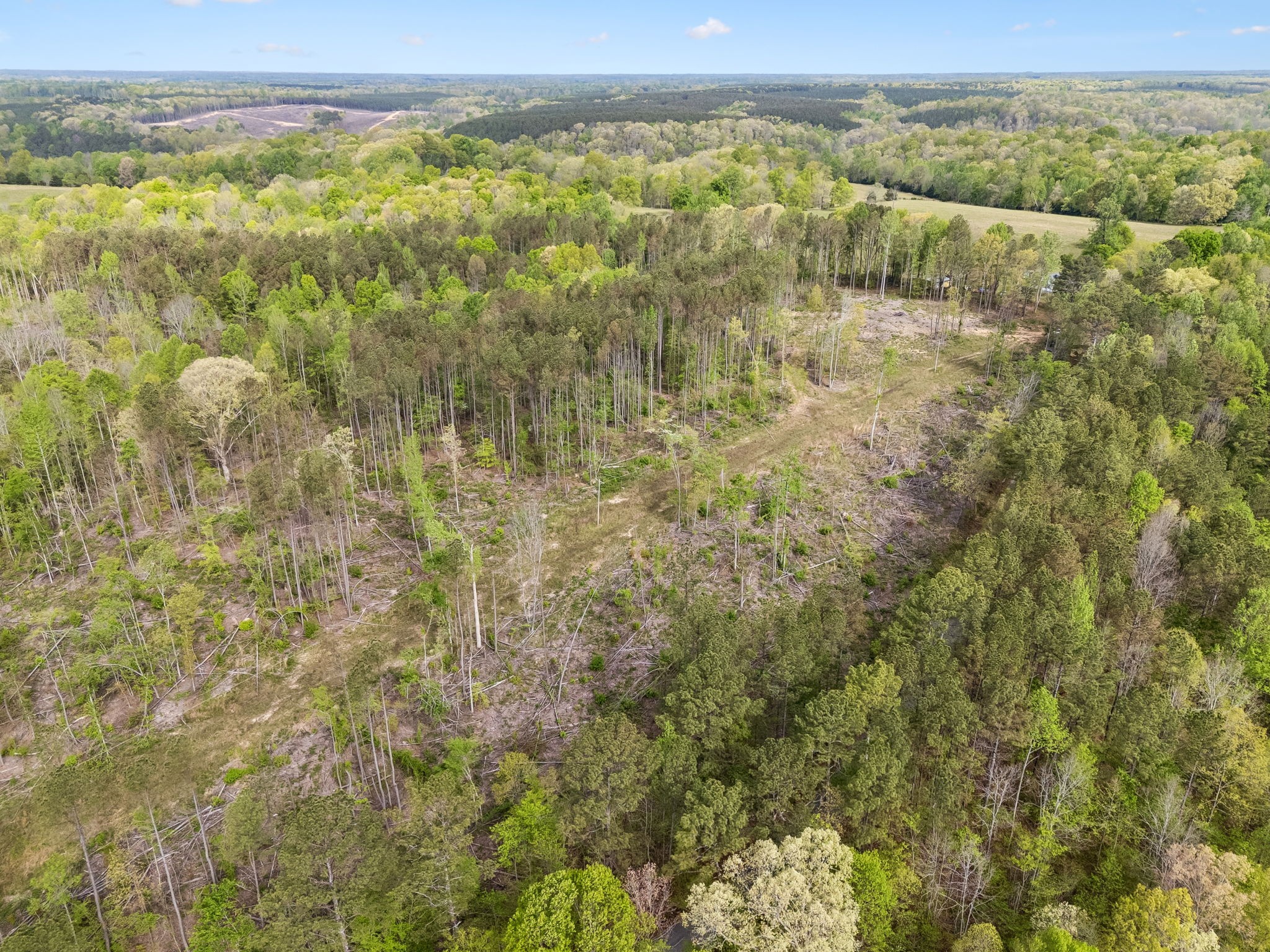 1 Pleasant Ridge Road Goodspring, TN 38460 - Photo 15 of 48