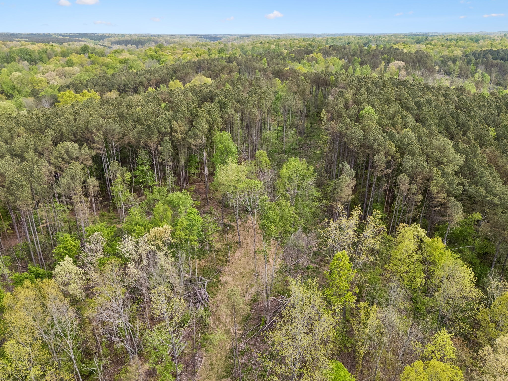 1 Pleasant Ridge Road Goodspring, TN 38460 - Photo 17 of 48