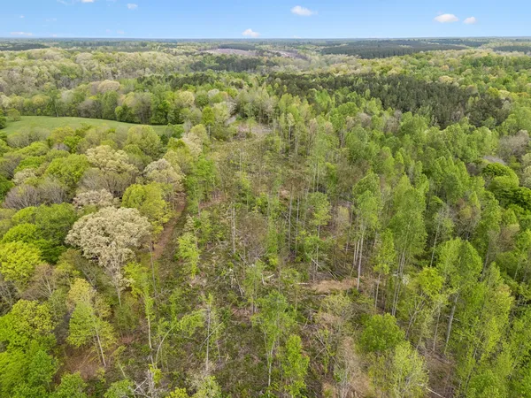 $481,120 | 1 Pleasant Ridge Road, Goodspring, TN 38460