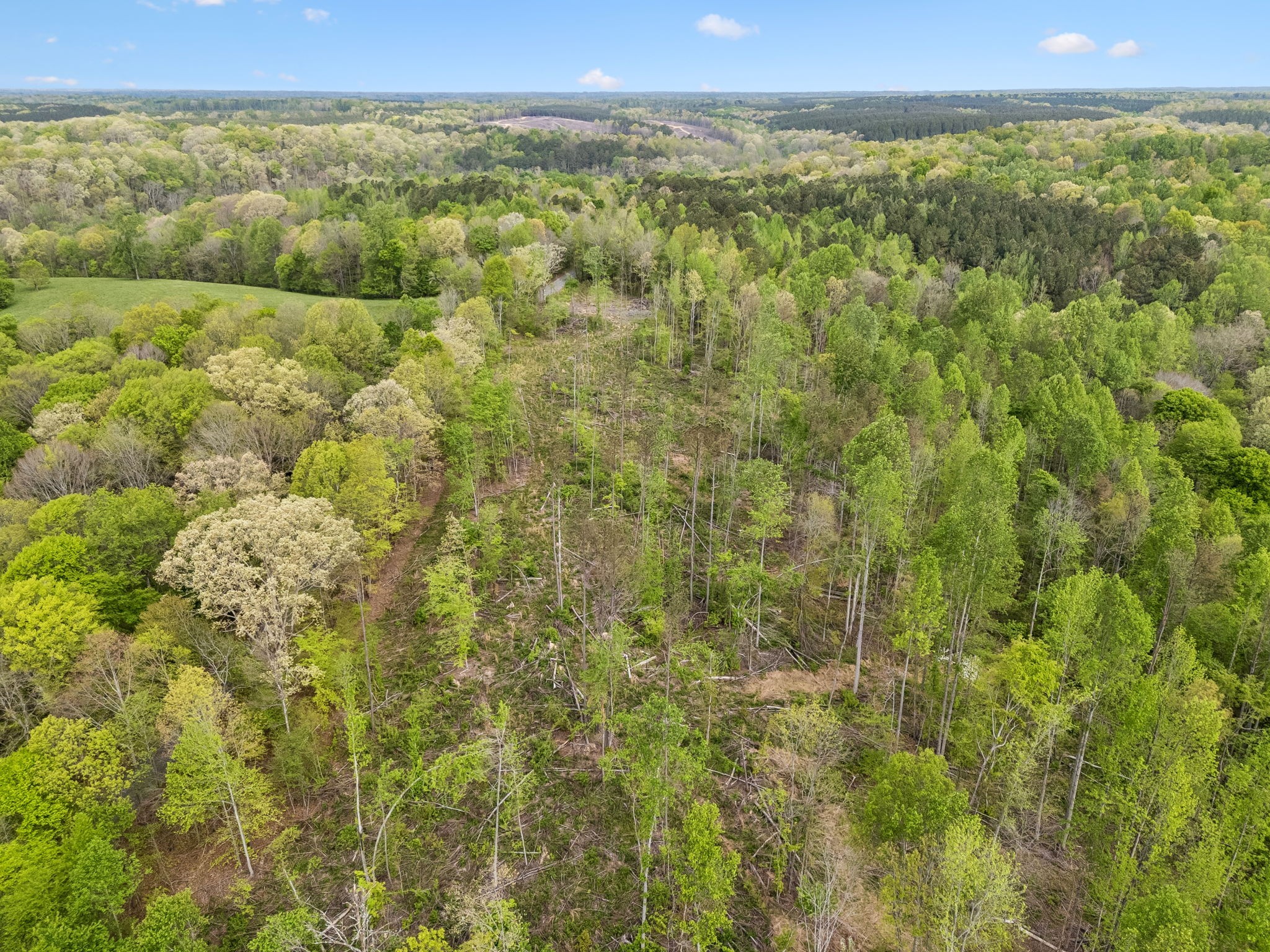 1 Pleasant Ridge Road Goodspring, TN 38460 - Photo 21 of 48