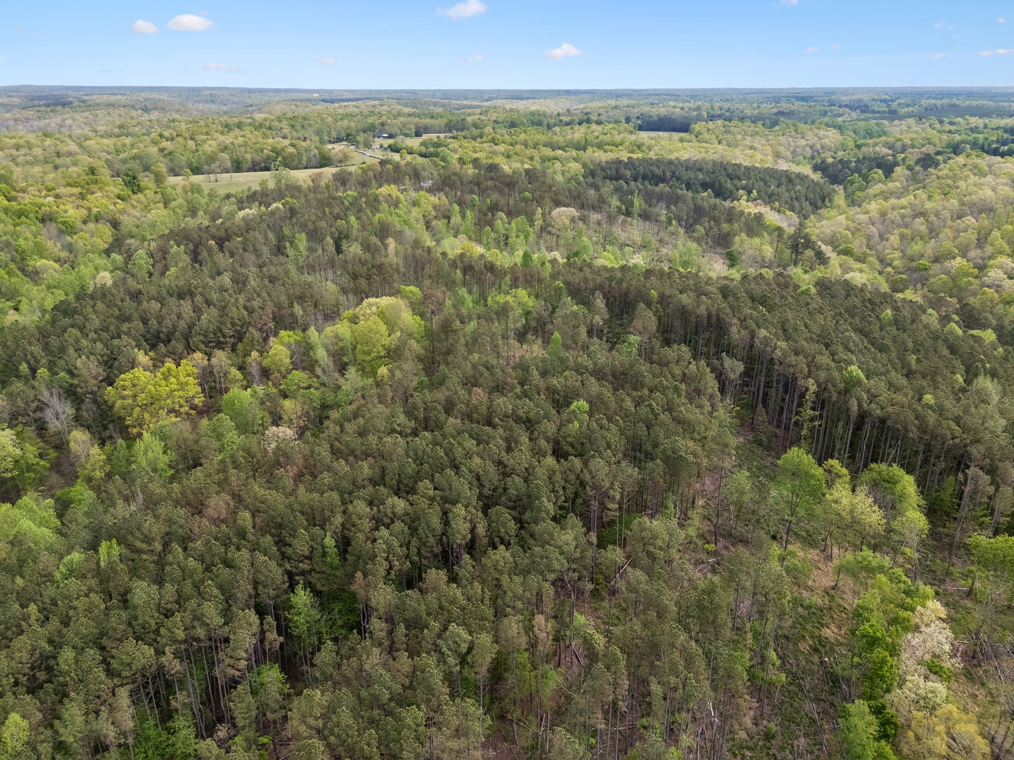 1 Pleasant Ridge Road Goodspring, TN 38460 - Photo 22 of 48