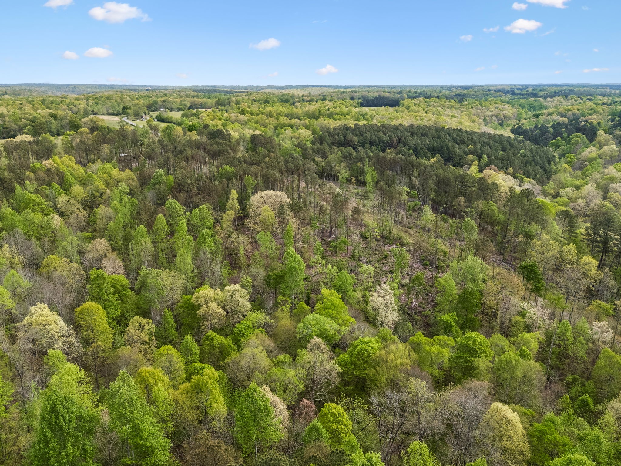 1 Pleasant Ridge Road Goodspring, TN 38460 - Photo 23 of 48