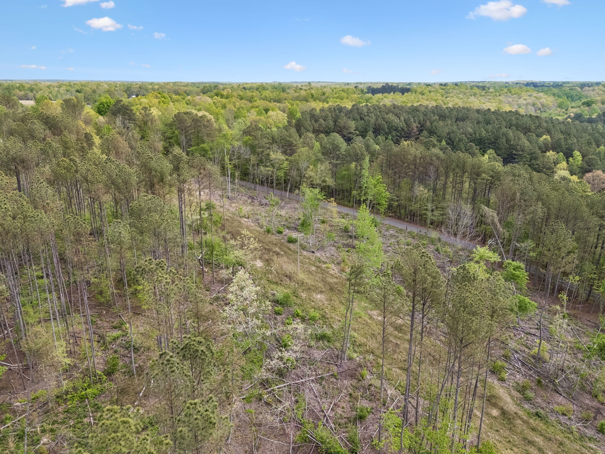 1 Pleasant Ridge Road Goodspring, TN 38460 - Photo 24 of 48