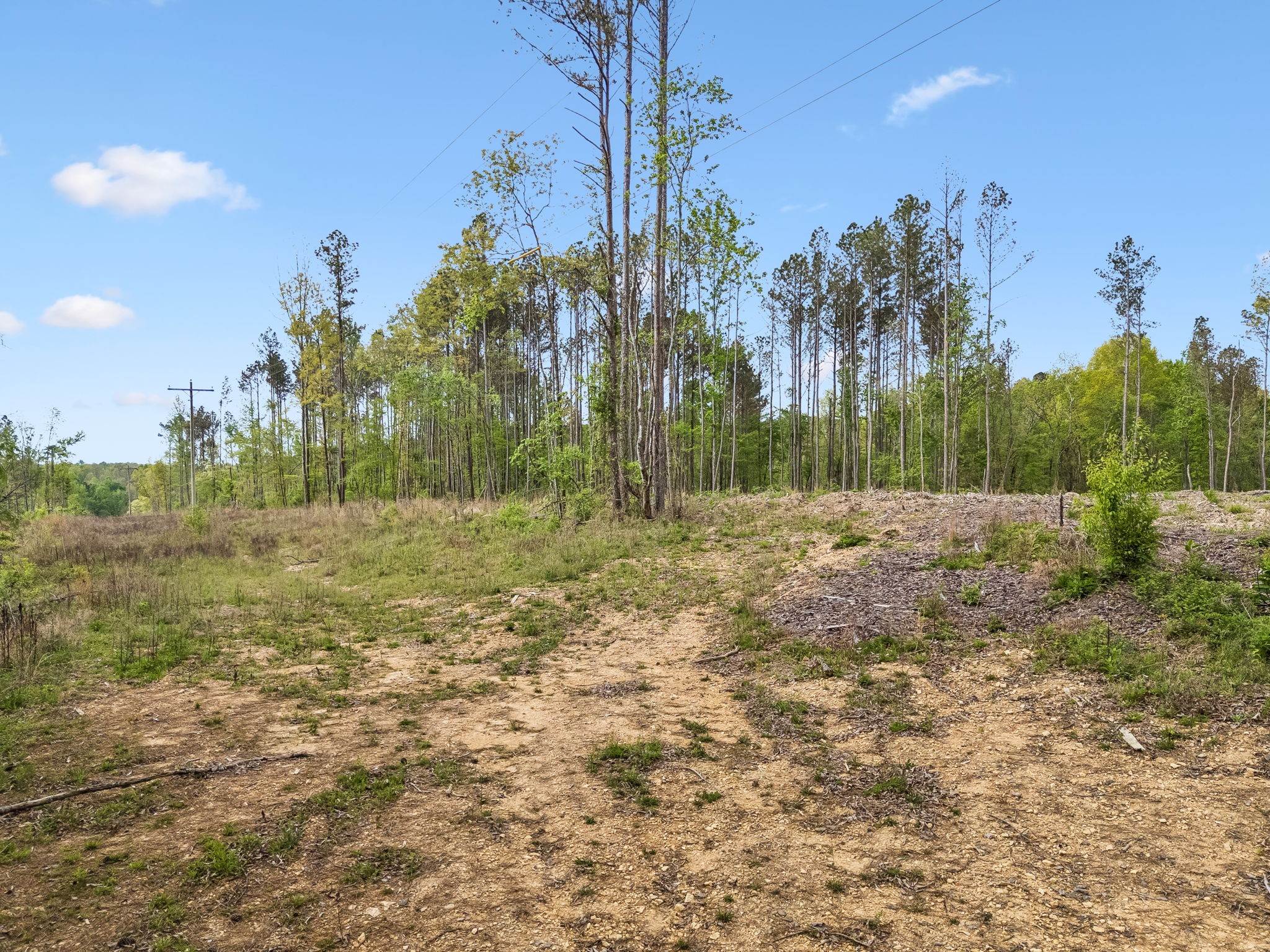 1 Pleasant Ridge Road Goodspring, TN 38460 - Photo 26 of 48