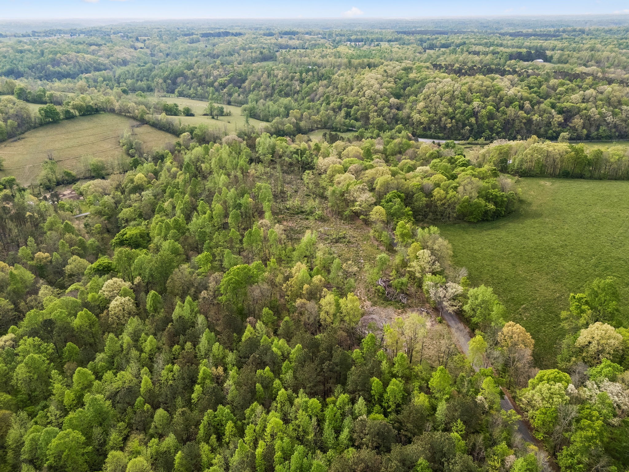 1 Pleasant Ridge Road Goodspring, TN 38460 - Photo 28 of 48