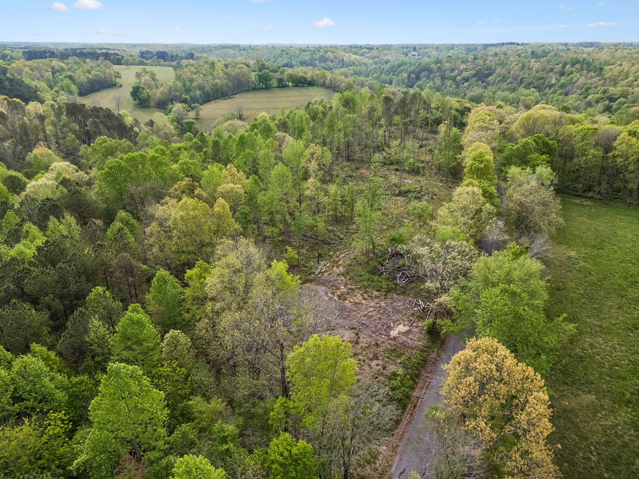 1 Pleasant Ridge Road Goodspring, TN 38460 - Photo 29 of 48