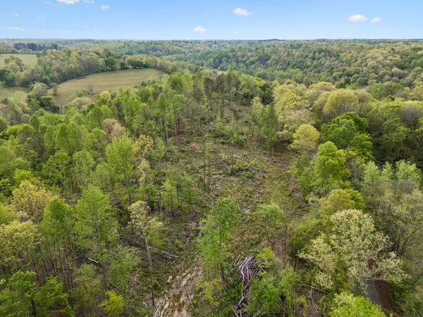 $481,120 | 1 Pleasant Ridge Road, Goodspring, TN 38460